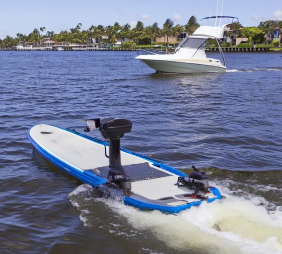 motorized paddleboard on water